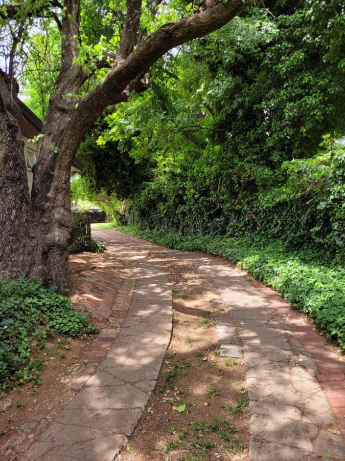 Riverbush Lodge Guesthouse Parys Exterior photo